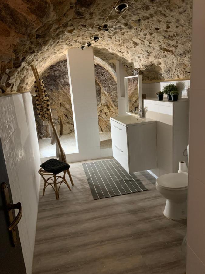 Appartement Cosy Le Balloon Avec Wifi Annonay Zewnętrze zdjęcie